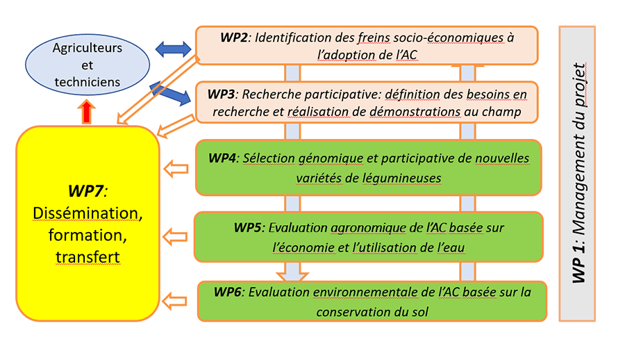 RWork packages