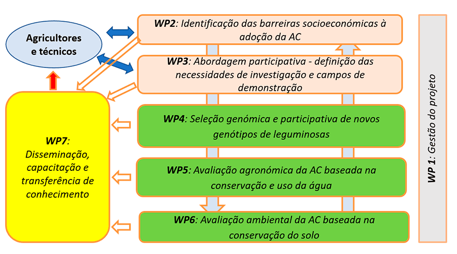 RWork packages